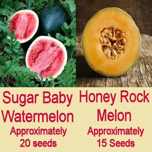 Two Melon Combo USDA Organic seeds