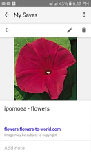Load image into Gallery viewer, &quot;REDHEAD&quot; mixed wildflower seeds
