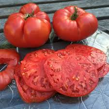 Tomato Seeds (Organic) - Beefsteak-sale