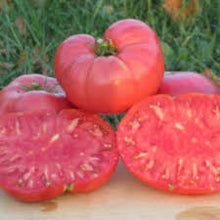 Load image into Gallery viewer, Tomato Seeds (Organic) - Beefsteak
