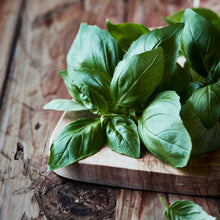 Load image into Gallery viewer, Italian Large leaf Basil seeds-sale
