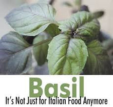 Load image into Gallery viewer, Large leaf Italian Basil seeds

