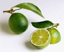 Load image into Gallery viewer, Key Lime tree -5 seeds
