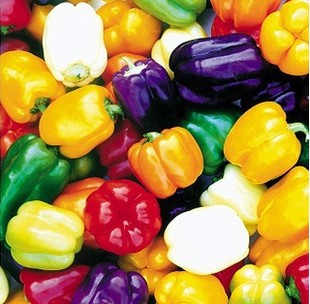 Multi-color pepper seeds-sale