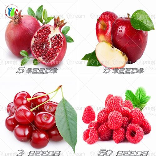 Four Fresh Red Fruit MIxed Seeds